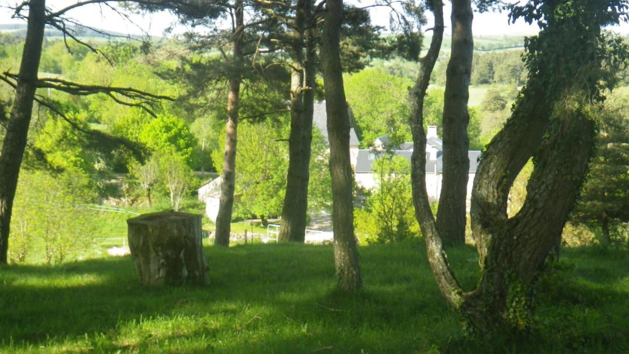 Mas De La Boheme - L'Hermet Saint-Léons Exterior foto